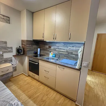 Paradise Dreams スヴェティ・ヴラス