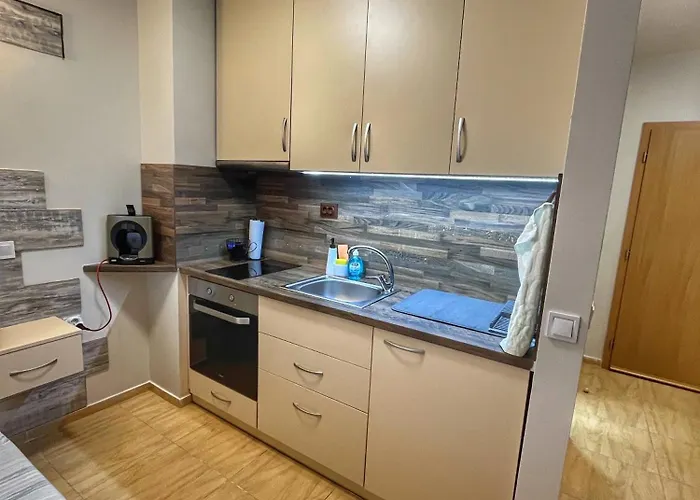 Paradise Dreams スヴェティ・ヴラス